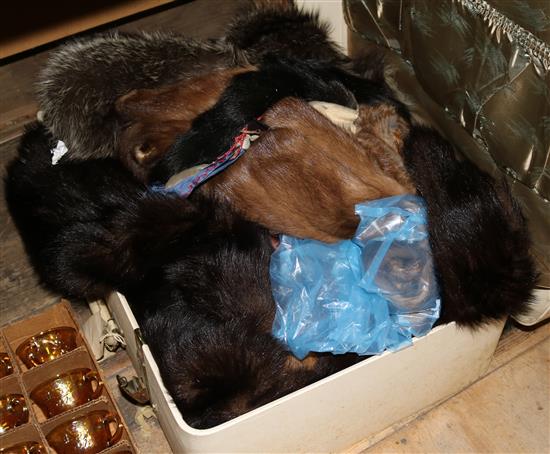 Quantity of furs